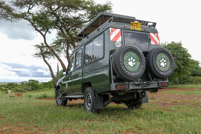 Samburu, Lake Nakuru & Masai Mara 6 Days Private 4x4 Jeep Safari - Day 2: Another Samburu Game Drive Where Wildlife Concentrates