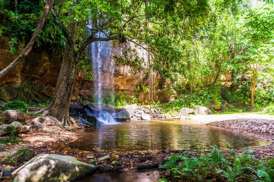 Shimba Hills Day Safari & Sheldrick Falls Hike Private Tour - Quick hits before you go