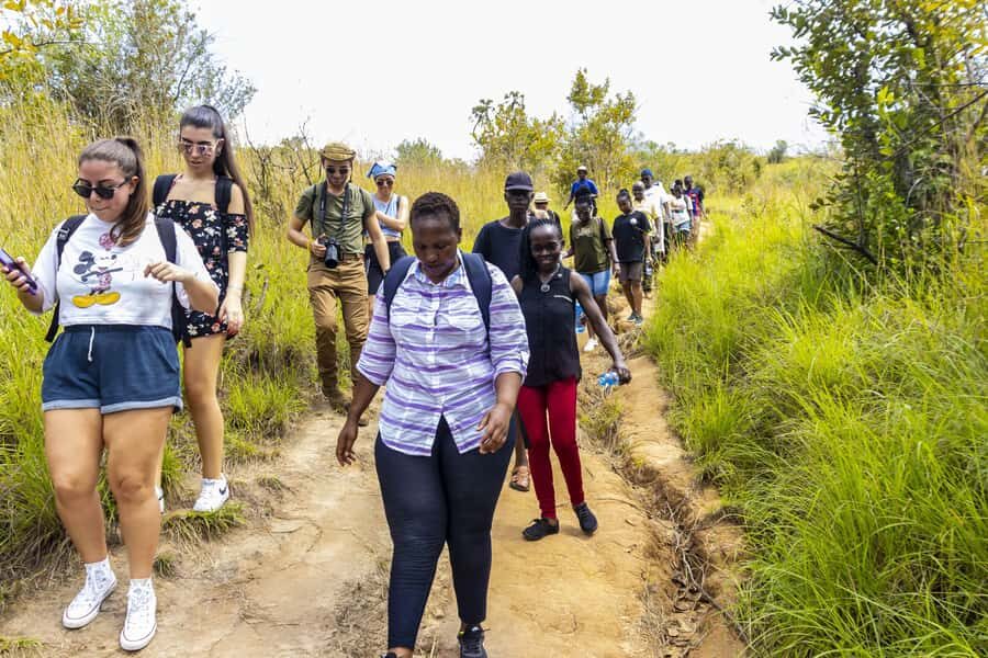 Shimba Hills Day Safari & Sheldrick Falls Hike Private Tour - Shimba Hills National Reserve game drive: why this day starts right