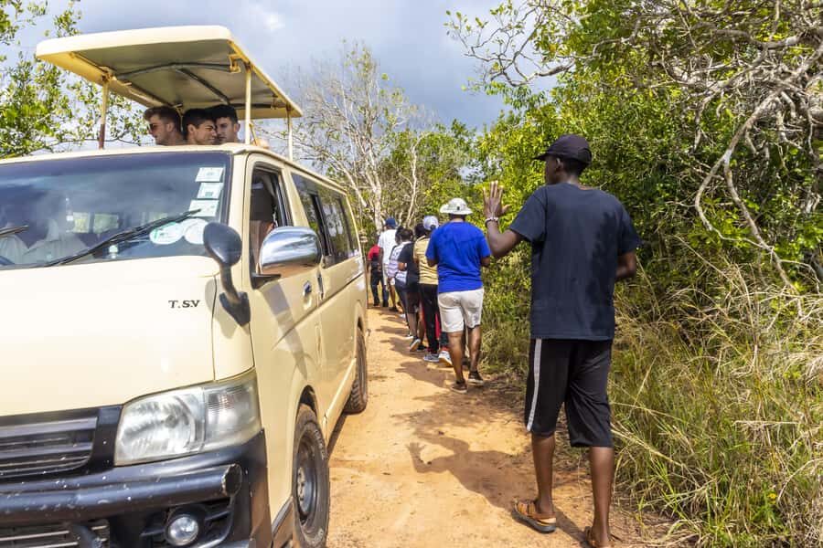 Shimba Hills Day Safari & Sheldrick Falls Hike Private Tour - Should you book it?