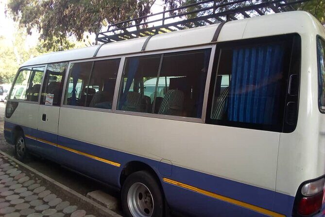 Shuttle Bus from Wilson and Jomo Kenyatta Airport Nairobi to Arusha and Moshi - Airport pickup at Wilson or Jomo Kenyatta: the part that can make or break your day