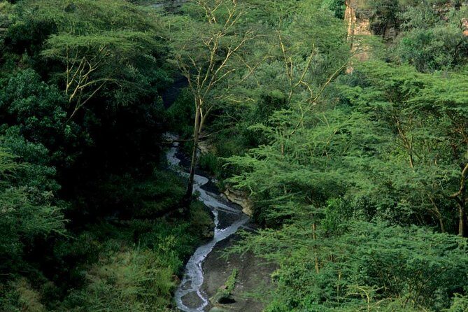 Small Group Budget Tour to Hells Gate National Park and Lake Naivasha Boat Ride - Lake Naivasha: optional boat ride for birds and hippos