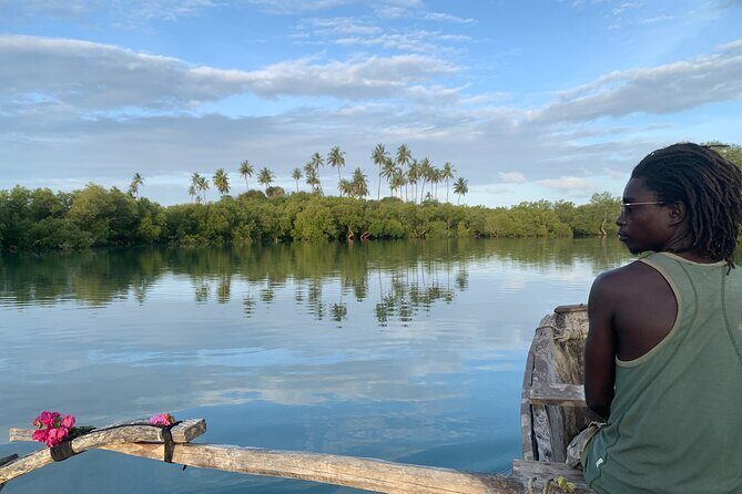 Sunset Canoe Tour on a River within the Mangroves - Key Highlights You’ll Want to Know