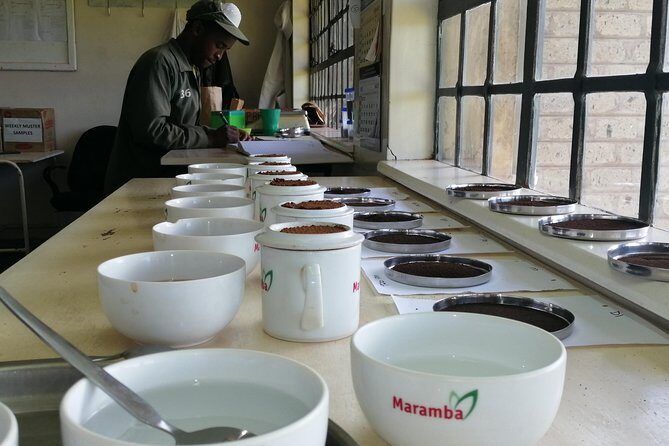 Tea Farm Experience at Riara Tea Farm And Factory Tour - Price and Value: What $160 Really Buys You