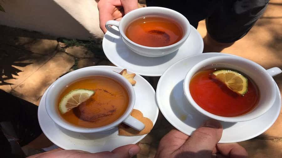 Tea Farm Tour From Nairobi (Kiambethu). - Nairobi to Limuru: the timing and vibe