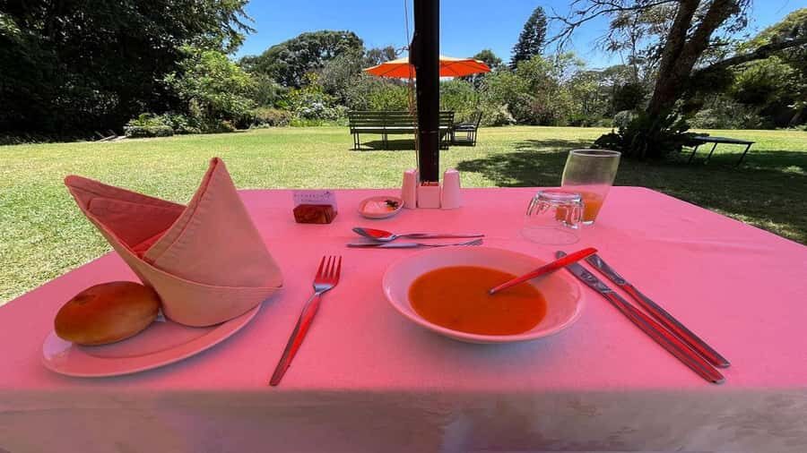 Tea Farm Tour From Nairobi (Kiambethu). - The forest walk: plants, traditional uses, and Colobus chances