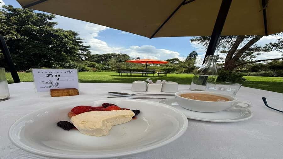 Tea Farm Tour From Nairobi (Kiambethu). - Tea farms view points: how the views fit the schedule