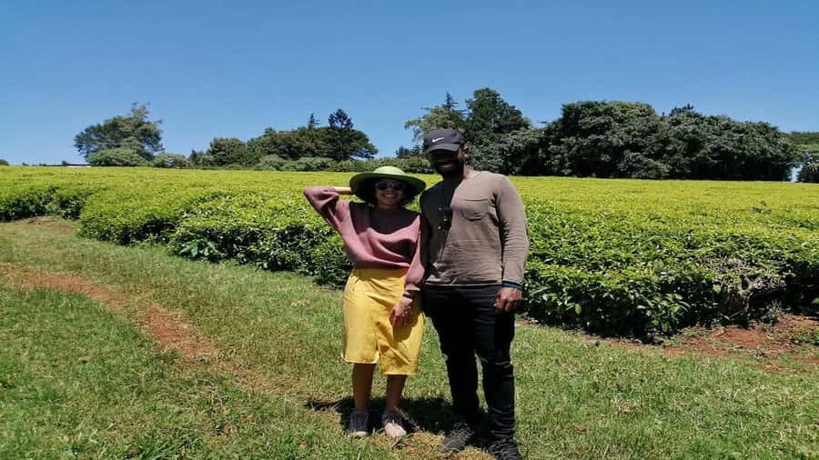 Tea Farm Tour From Nairobi (Kiambethu). - Hands-on experience and tea tasting: what you should pay attention to