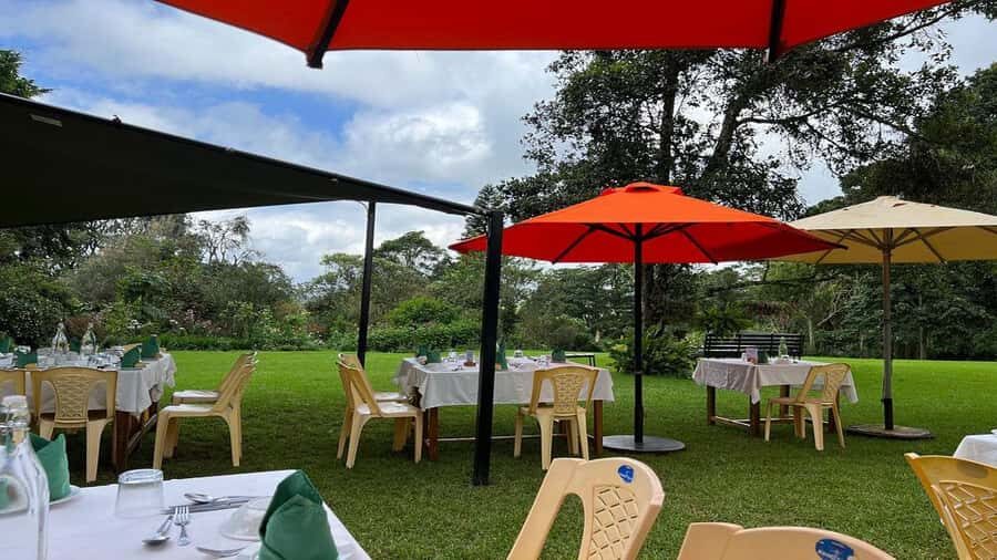 Tea Farm Tour From Nairobi (Kiambethu). - Lunch at the farm: a real meal, not a token buffet