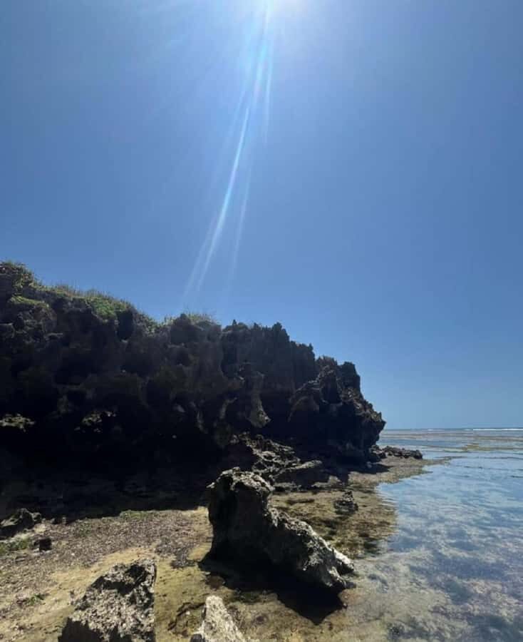 Tiwi Beach: Guided Tour to the African Pool - Wildlife you can actually see: octopuses, starfish, surgeon fish, and more