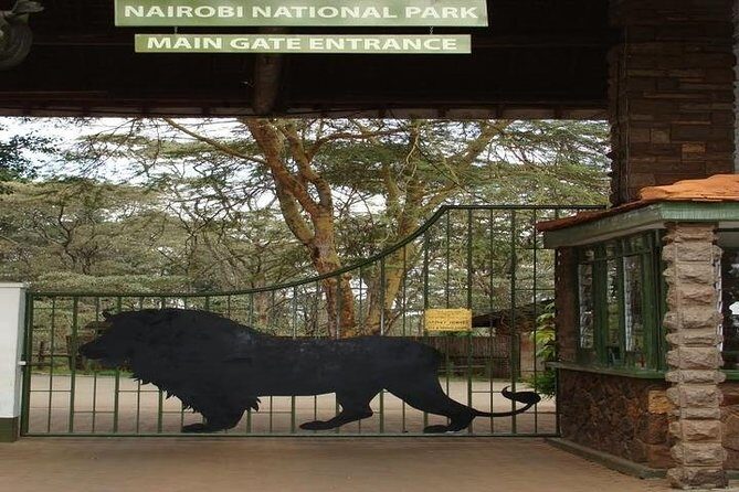 Tour: Giraffe Center and Nairobi National Park - Timing and heat: how the early departure option changes your odds