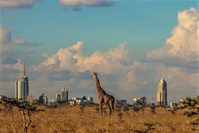Tour: Giraffe Center and Nairobi National Park - Price and value: what $176 includes, and what you’ll still pay
