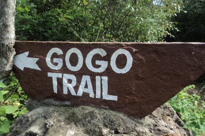 Tour to Giraffe Center from Nairobi - The Gogo River nature trail: where the pace slows down