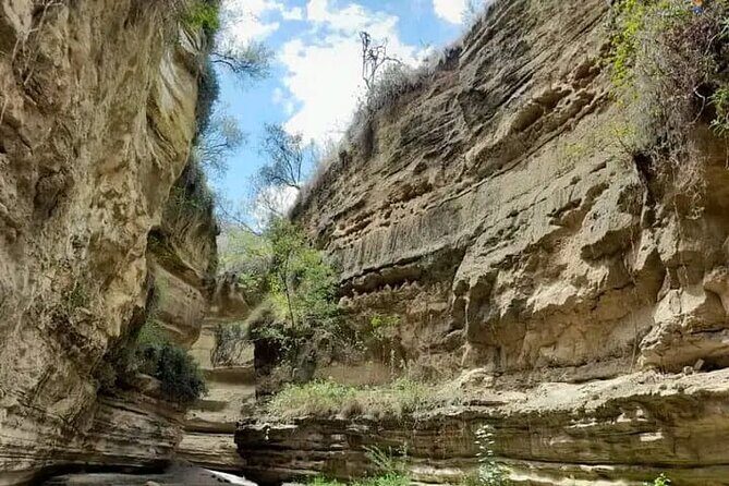 Tour to Hells Gate National park & L Naivasha boat ride - Key things that make this day trip work