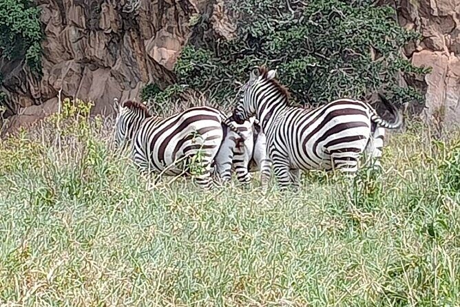 Tour to Hells Gate National park & L Naivasha boat ride - Money and value: what $90 really covers, plus the unavoidable extras