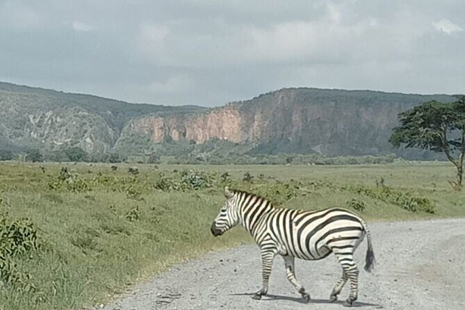 Tour to Hells Gate National park & L Naivasha boat ride - Cycling safari in Hell’s Gate: bikes, wildlife odds, and real movement