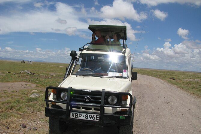 Ultimate 12 Days Private Safari Tour in Kenya and Tanzania - Kenya to Tanzania Safari: a private route built around wildlife time
