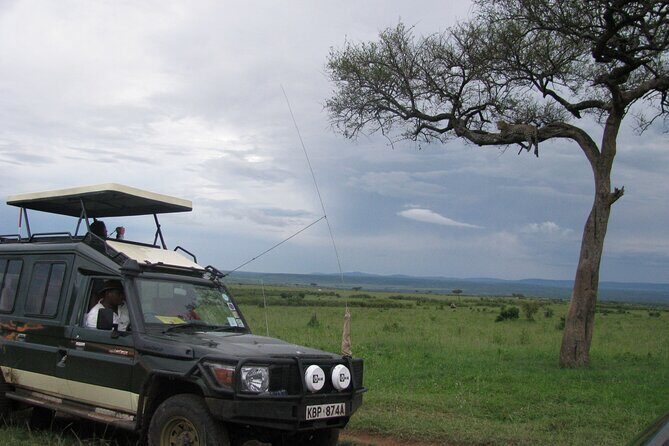 Ultimate 12 Days Private Safari Tour in Kenya and Tanzania - Day 8: Ngorongoro Crater descent, picnic lunch, and rim sunsets