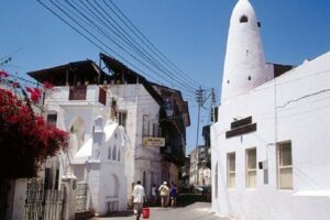 Visit to Fort Jesus and the Old Town of Mombasa - Entering Fort Jesus Museum: start with the right context