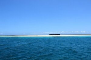 Wasini Day Tour - The low-tide sandbank moment: a break from snorkeling