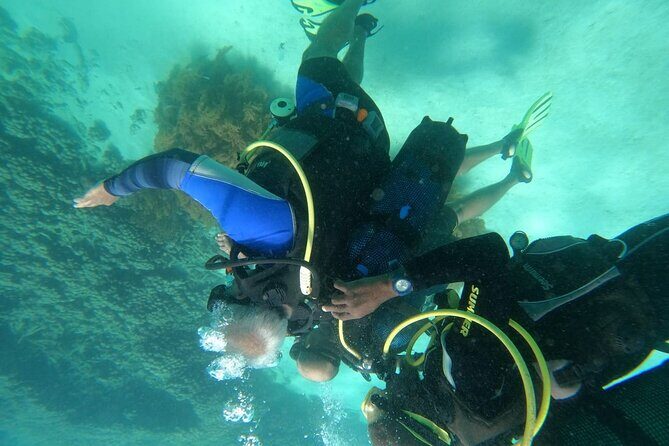 Wasini Day Tour - Snorkeling at Kisite-Mpunguti: coral, fish, and first-timer support