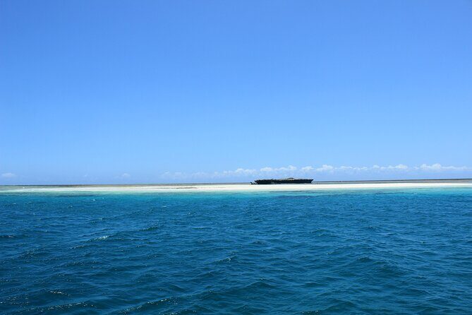 Wasini Day Tour - The low-tide sandbank moment: a break from snorkeling