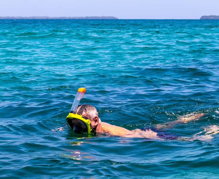 Wasini Island: Dolphin Spotting & Snorkel at Kisite Mpunguti - Snorkeling Kisite Mpunguti Marine Park: What You Should Expect to See