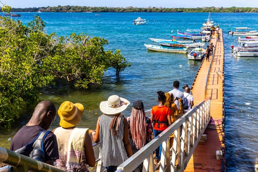 Wasini Island: Dolphin Spotting & Snorkel at Kisite Mpunguti - Timing, Weather, and the Dolphin-Snorkel Trade-Off