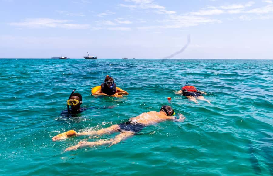 Wasini Island: Dolphin Spotting & Snorkel at Kisite Mpunguti - Getting There From Mombasa, Tiwi, Diani, and Beyond (Without Wasting the Day)