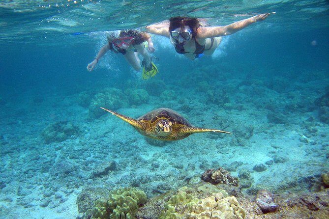 Watamu Marine Park & Sudi Island Mangrove Forest Canoe Ride.With sea food lunch - From Mombasa to Watamu: the 100 km morning plan that sets the tone