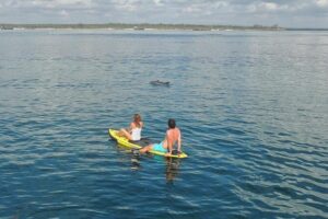 Watamu Marine Park & Sudi Island Mangrove Forest Canoe Ride.With sea food lunch - Watamu National Marine Park: that two-deck glass boat experience