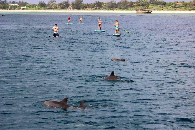 Watamu Marine Park & Sudi Island Mangrove Forest Canoe Ride.With sea food lunch - Transfers, timing, and the real feel of a 9.5-hour day