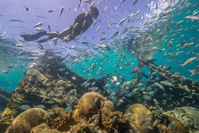 Watamu Marine Park & Sudi Island Mangrove Forest Canoe Ride.With sea food lunch - Who should book this Watamu + Sudi Island day trip?